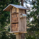 Biologist Colin Purrington’s own three-level bee hotel.